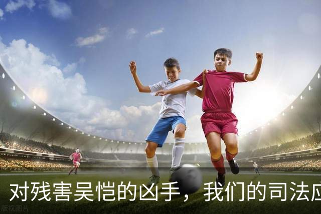 对残害吴恺的凶手，我们的司法应果断亮剑、坚决严惩！